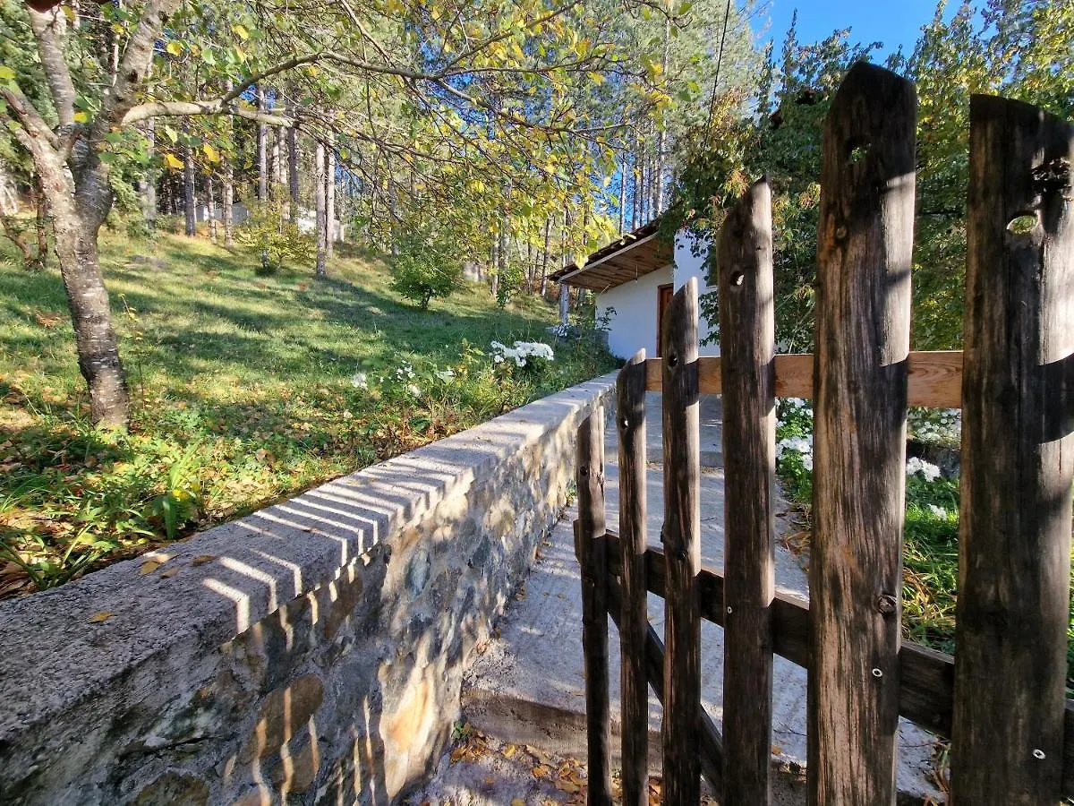 Bujtinat Skenderi Gjinar旅舍 0*, Gjinar