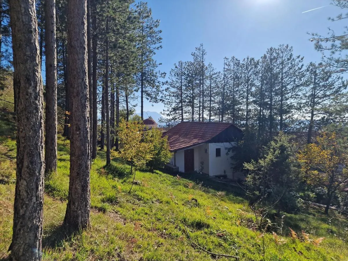 Bujtinat Skenderi Gjinar旅舍