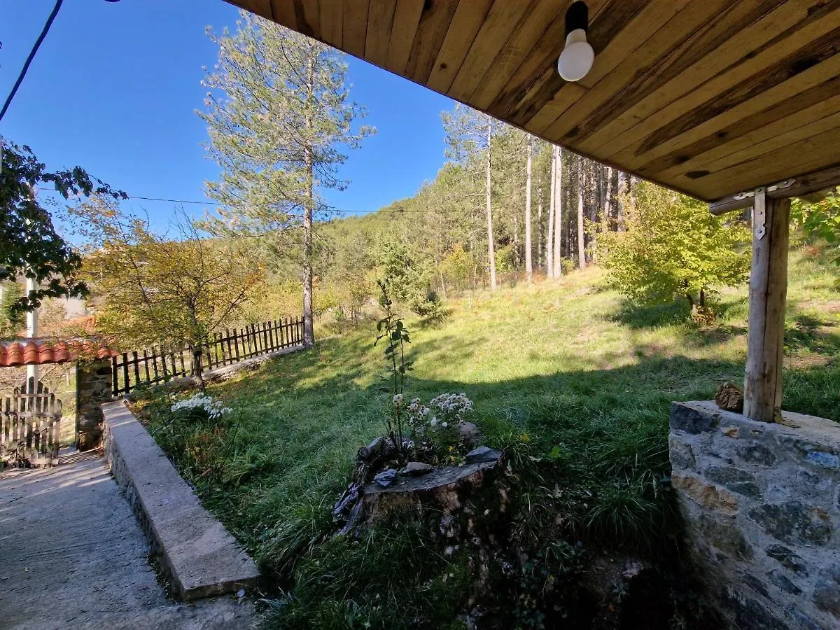 旅馆 Bujtinat Skenderi Gjinar旅舍 阿尔巴尼亚