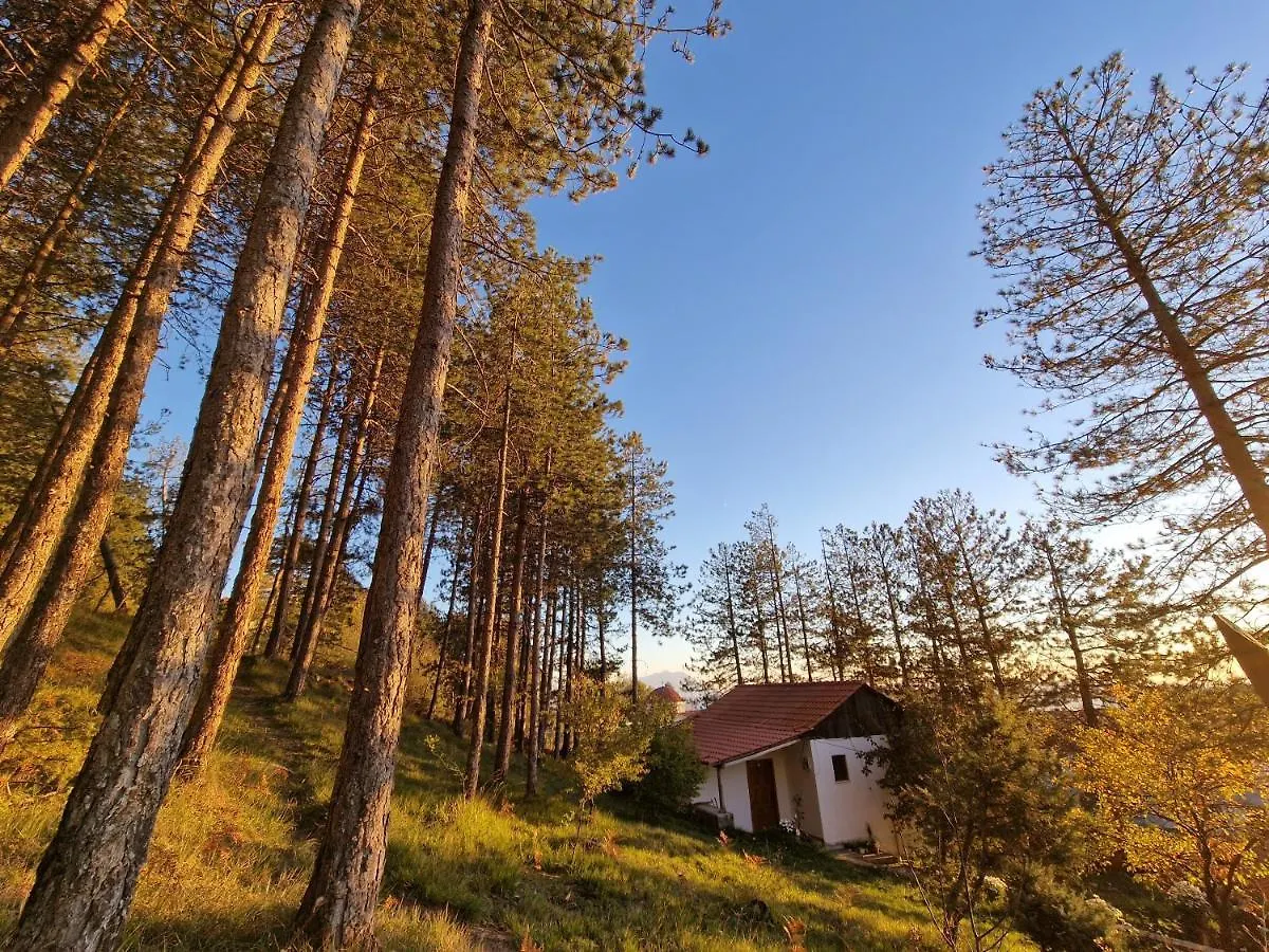 Bujtinat Skenderi Gjinar旅舍 Gjinar