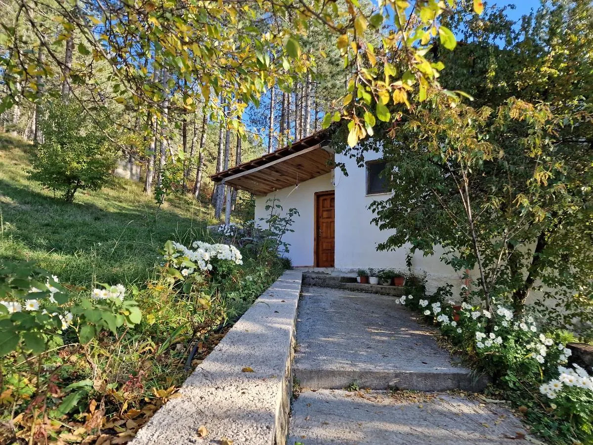 旅馆 Bujtinat Skenderi Gjinar旅舍