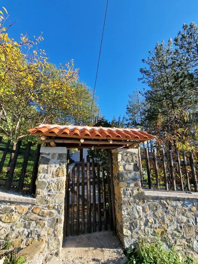 Bujtinat Skenderi Gjinar旅舍