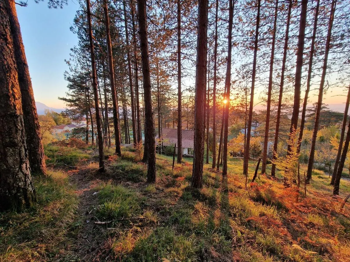 Bujtinat Skenderi Gjinar旅舍 旅馆
