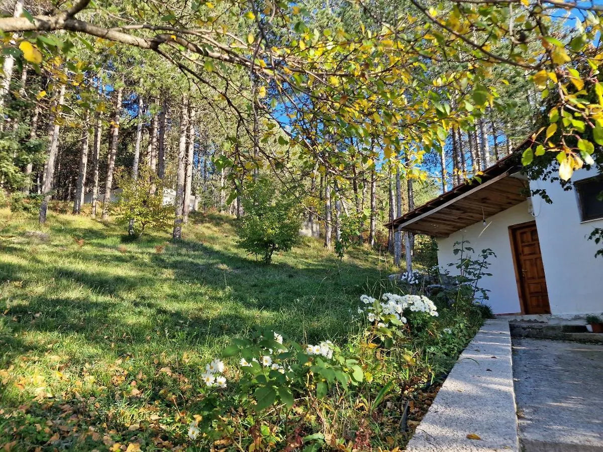 Bujtinat Skenderi Gjinar旅舍