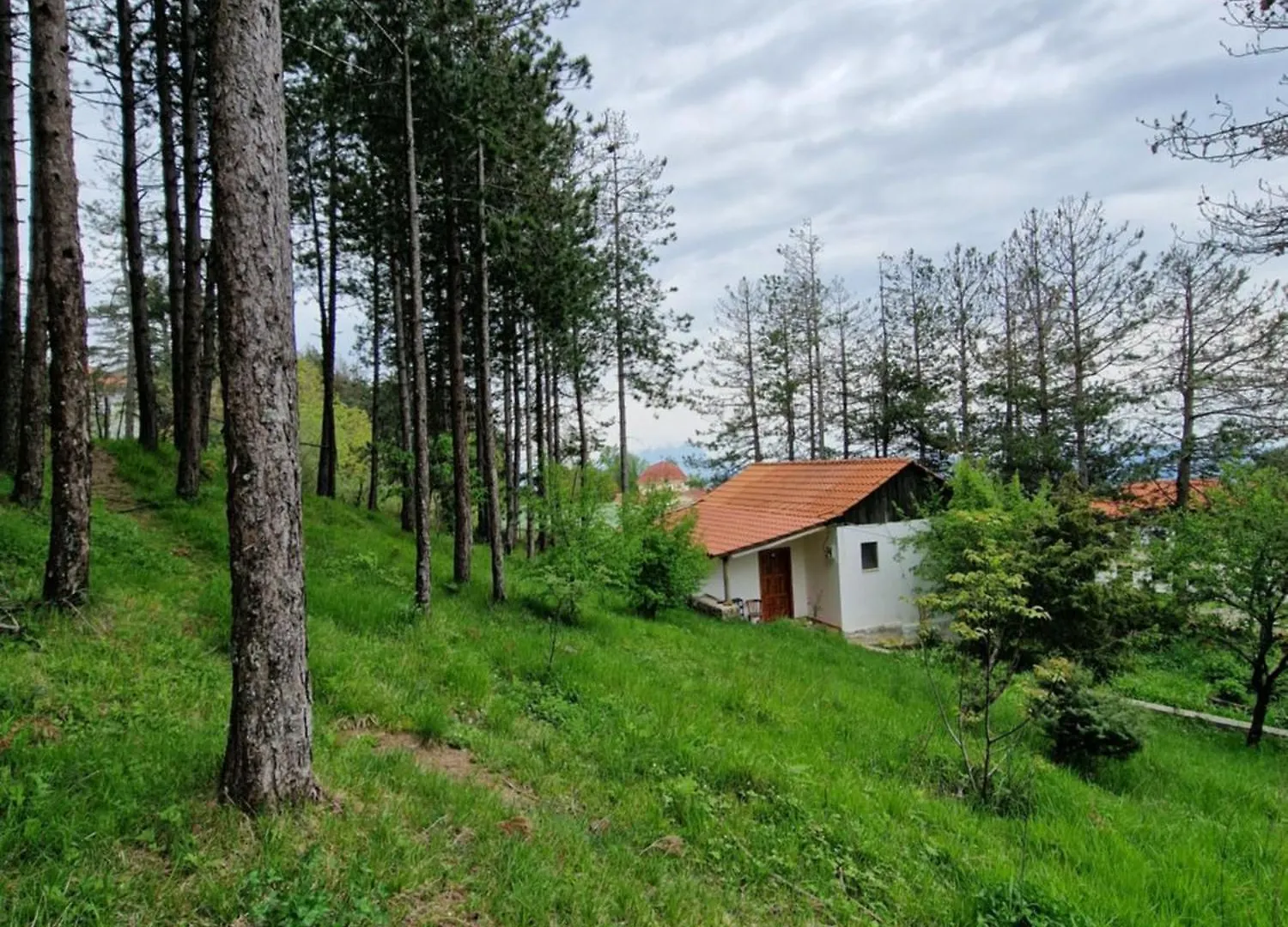 旅馆 Bujtinat Skenderi Gjinar旅舍